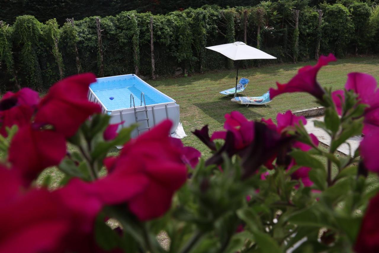 Gabry Guest House Bruno エクステリア 写真