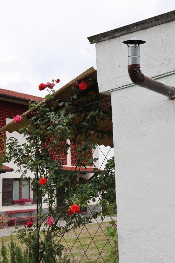 Gabry Guest House Bruno エクステリア 写真